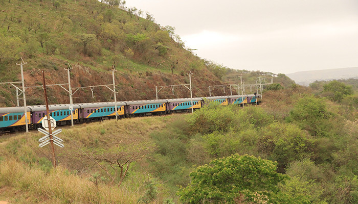 Après un arrêt de 2 heures dans la capitale sud-africaine, nous enchaînons avec un second train en direction de Durban. Les paysages dans cette région du Kwazulu Natal sont très verts, intenses.